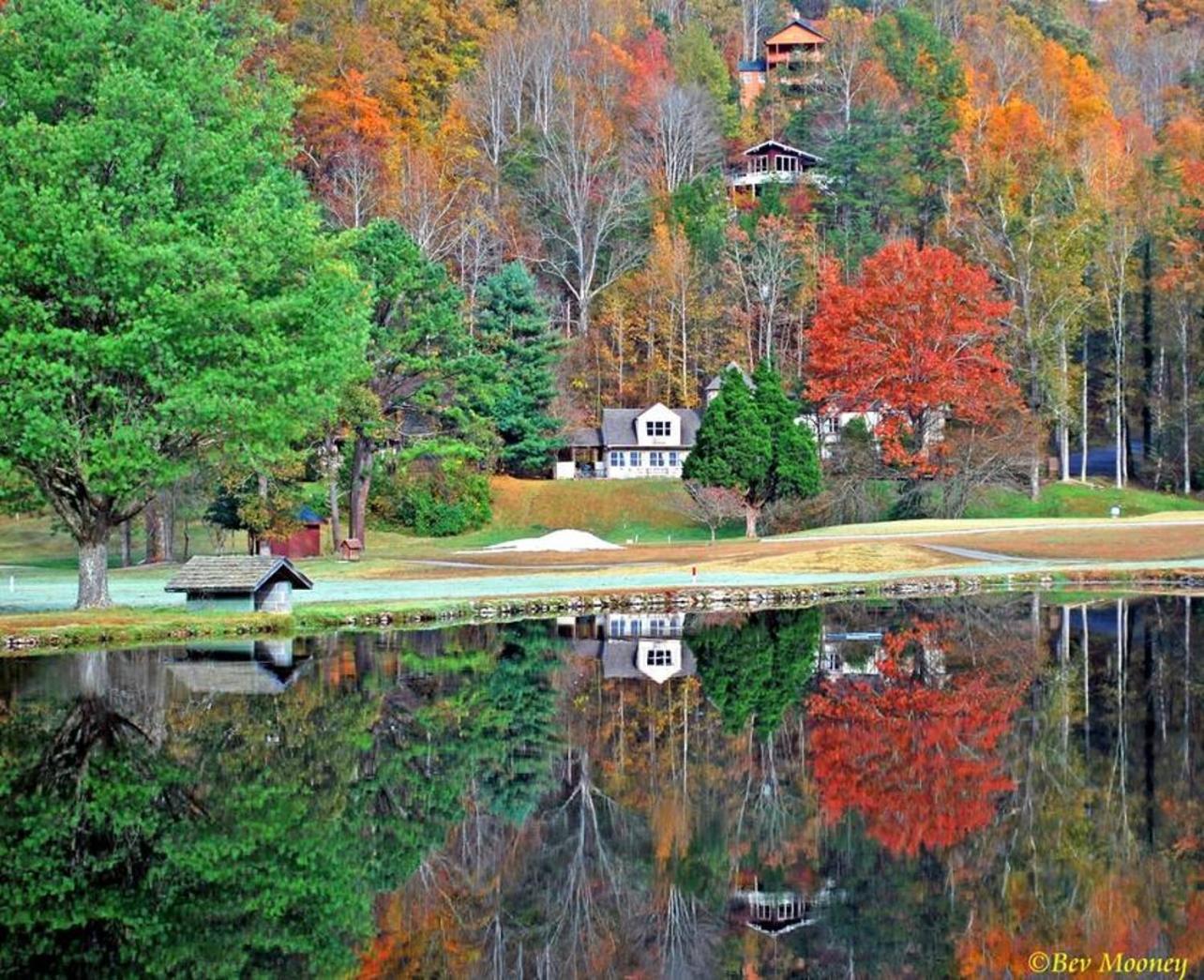 Romantic, Honeymoon Cabin In The Smokies! Gatlinburg Eksteriør billede